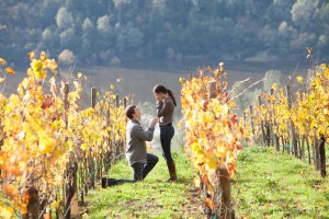 Napa Valley Candid Proposal Photography - Viader Winery